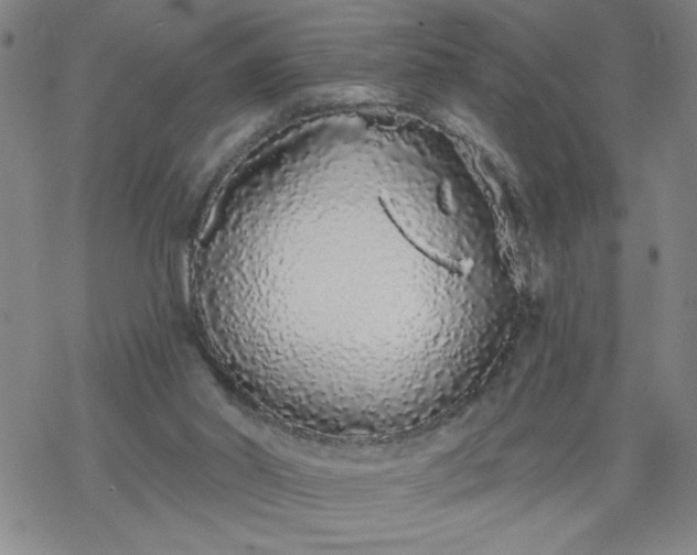 X0000069360014200605192110