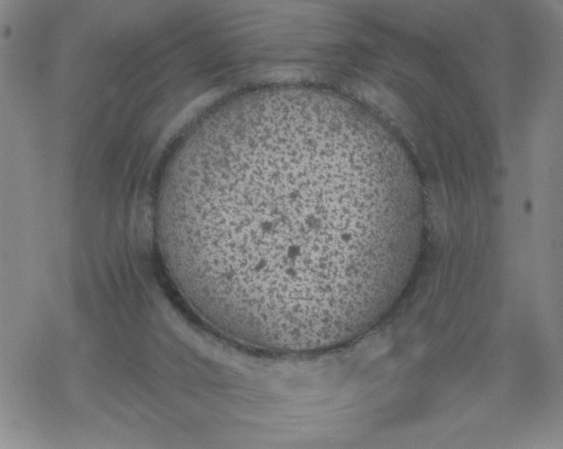 X0000069360016200605192110