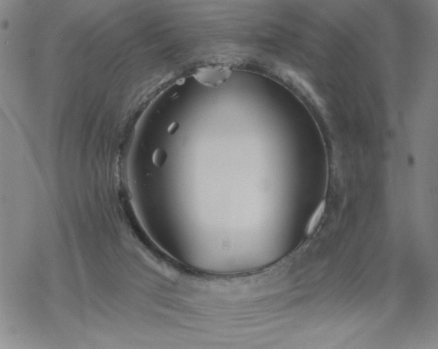 X0000069360017200605192110