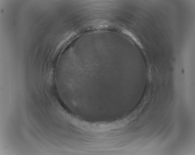 X0000069360018200605192110