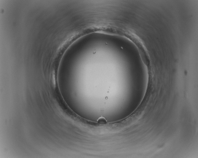 X0000069360020200605192110