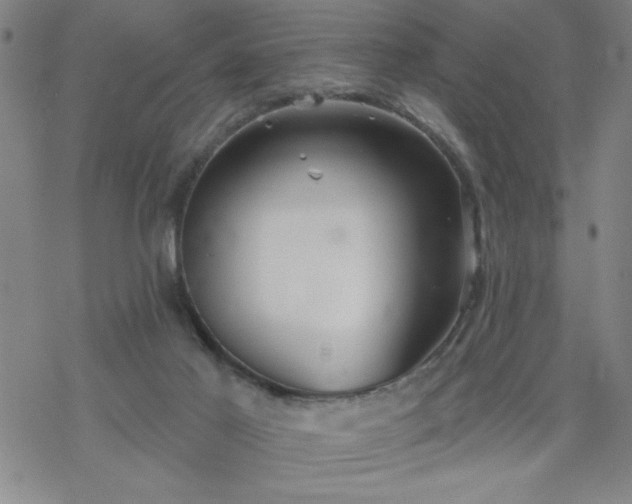 X0000069360021200605192109