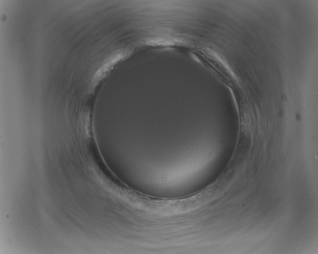 X0000069360023200605192109