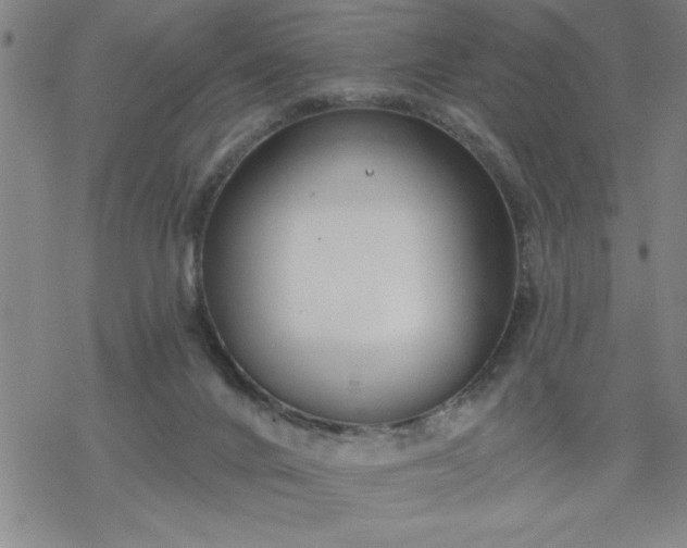 X0000069360024200605192109