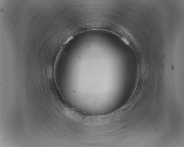 X0000069360025200605192109