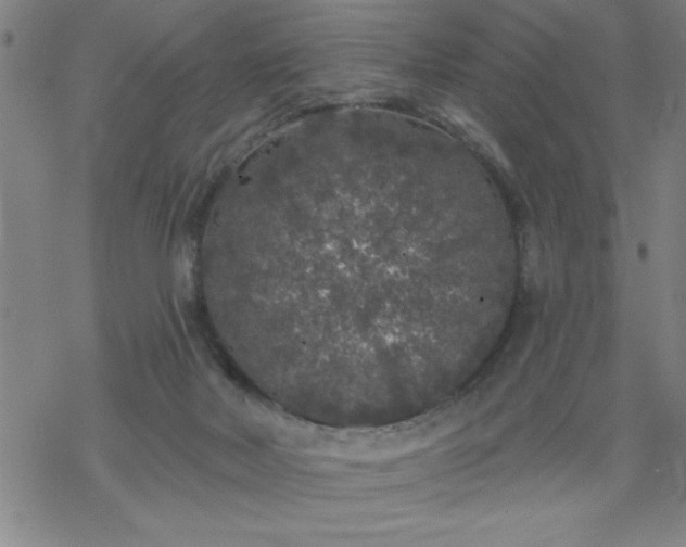 X0000069360026200605192109