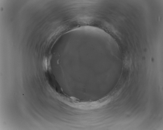 X0000069360027200605192109