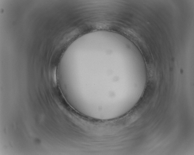 X0000069360028200605192109