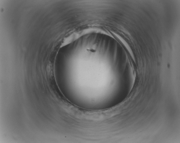 X0000069360029200605192109