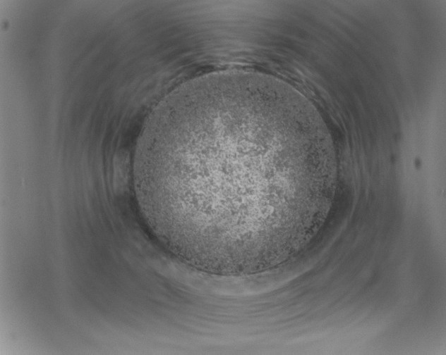 X0000069360030200605192109