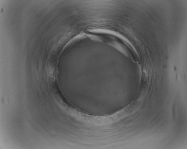 X0000069360031200605192109