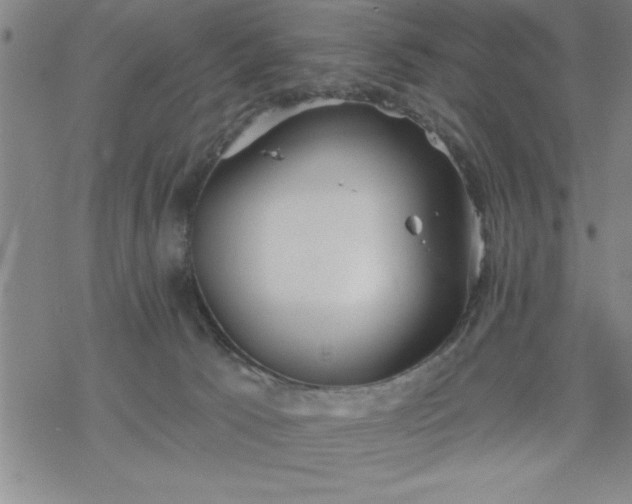 X0000069360033200605192109