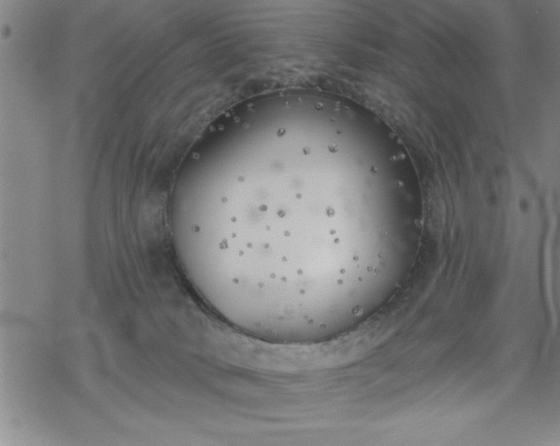 X0000069360034200605192109