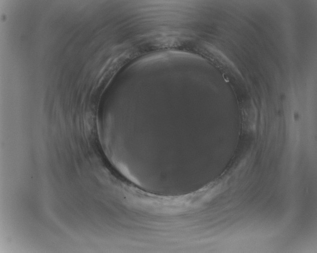 X0000069360035200605192109