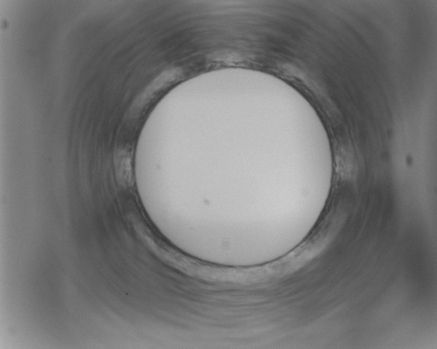 X0000069360036200605192109