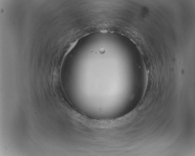 X0000069360037200605192109