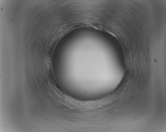 X0000069360038200605192109