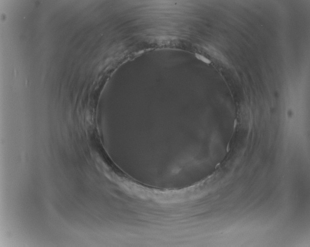 X0000069360039200605192109