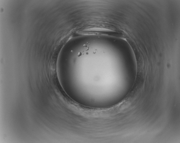 X0000069360040200605192109