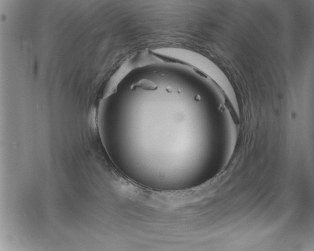 X0000069360041200605192109