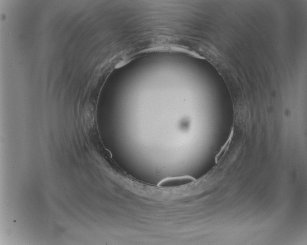 X0000069360043200605192109