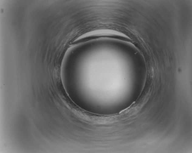 X0000069360044200605192109