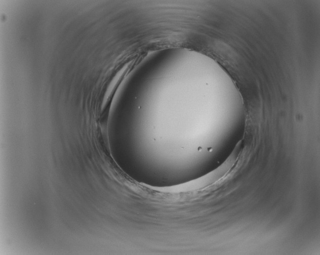 X0000069360045200605192109