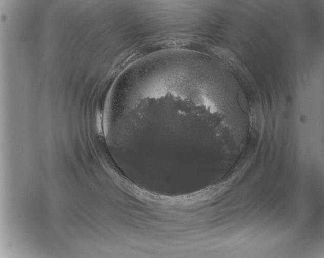 X0000069360046200605192109