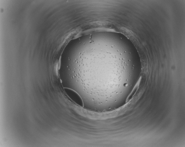 X0000069360047200605192109