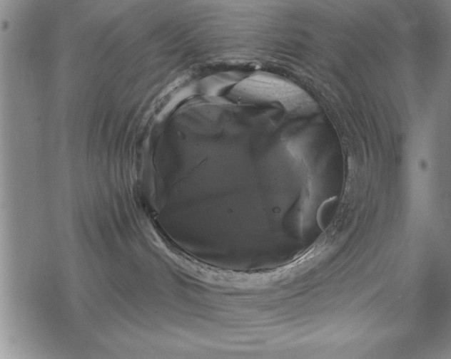 X0000069360048200605192109