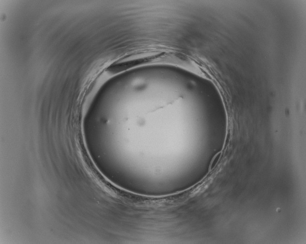 X0000069360049200605192108