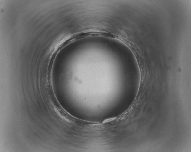 X0000069360050200605192108