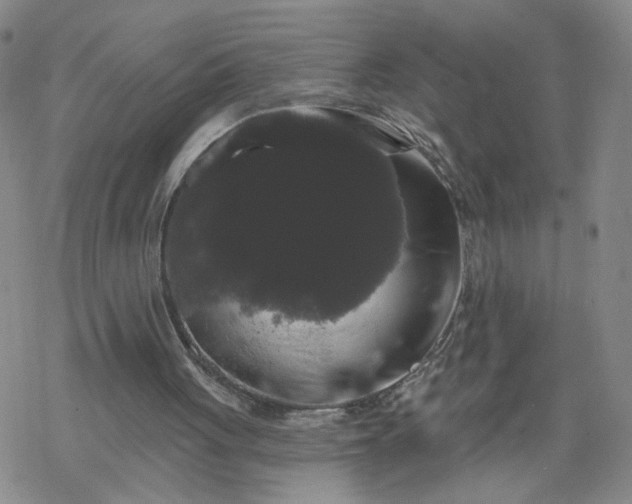 X0000069360051200605192108