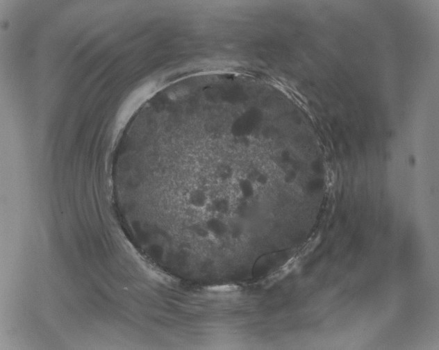 X0000069360053200605192108