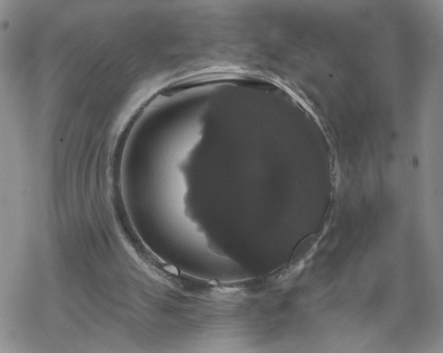 X0000069360055200605192108