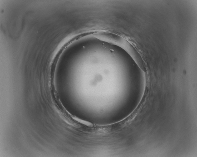 X0000069360056200605192108