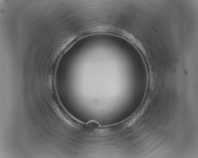 X0000069360057200605192108