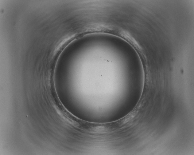 X0000069360058200605192108