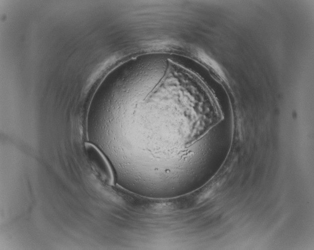 X0000069360059200605192108