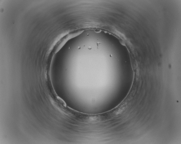 X0000069360060200605192108