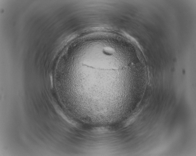 X0000069360061200605192108