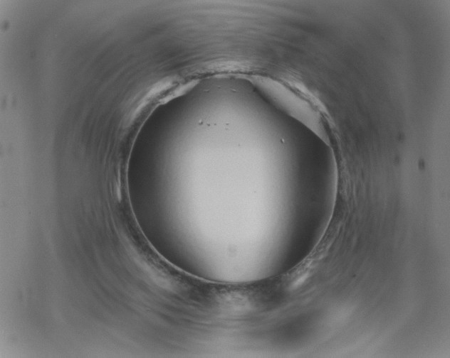 X0000069360062200605192108