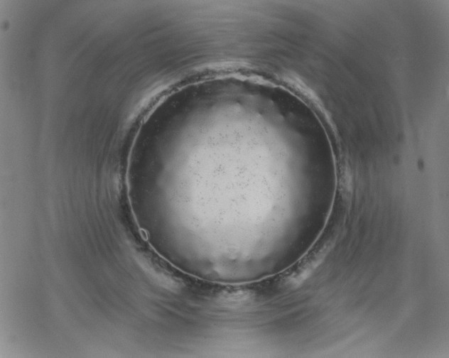 X0000069360063200605192108