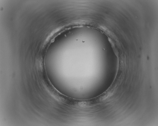 X0000069360064200605192109