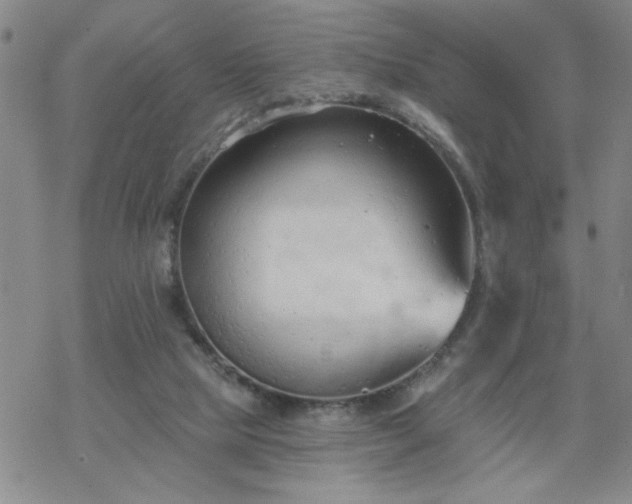 X0000069360065200605192109