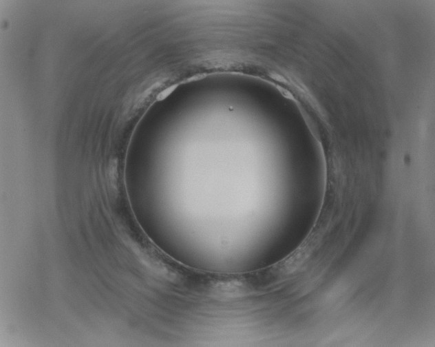 X0000069360066200605192109