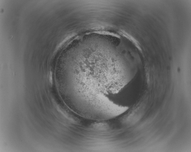 X0000069360067200605192109