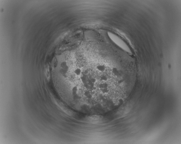 X0000069360069200605192109