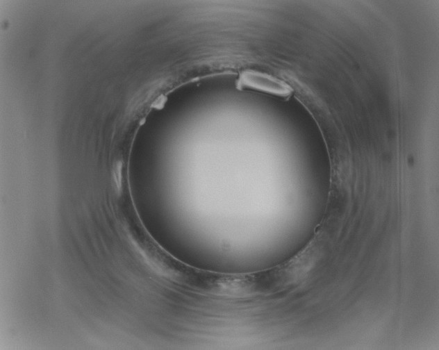 X0000069360070200605192109