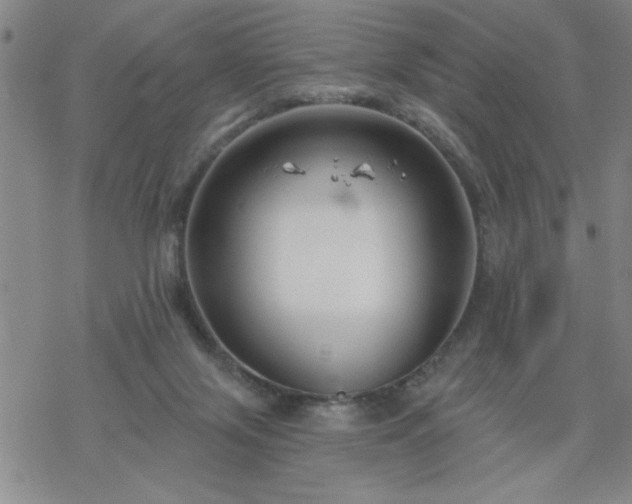 X0000069360071200605192109